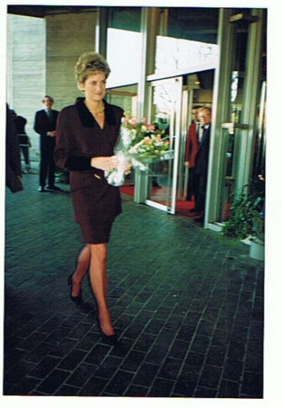 diana 010.jpg