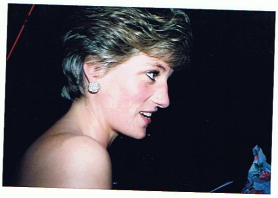 diana 022.jpg