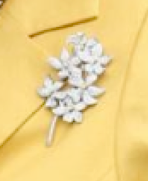 Irish Blossom Brooch.png