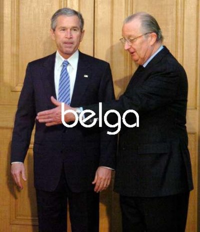 Bush - Belgium 2.jpg