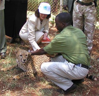 Kungaparet Kenya mars 2005_6.jpg