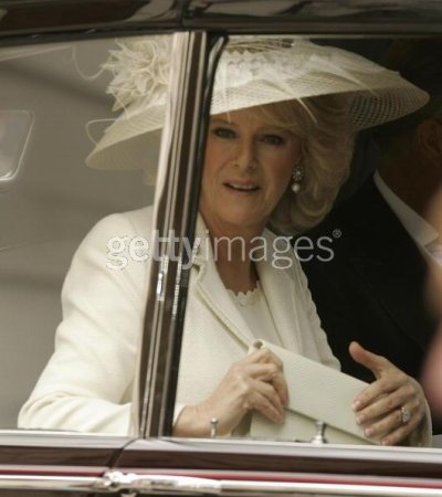 Charles and Camilla Wedding - The new Duchess of Cornwall.jpg