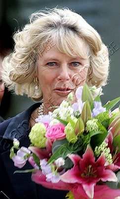 BRITAIN-ROYALS-CAMILLA-0200.jpg