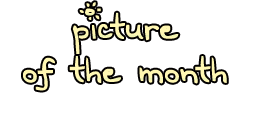 pictureofthemonth.gif