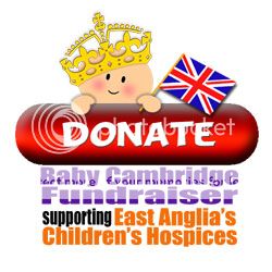 babycambridge-donate.jpg