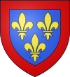 100px-Blason_duche_fr_Anjou_(moderne).svg.png