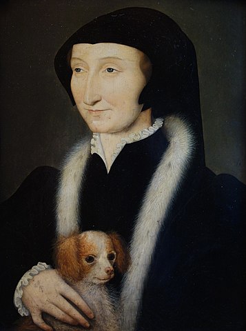 357px-Portrait_de_Marguerite_de_Navarre%2C_attribu%C3%A9_%C3%A0_Fran%C3%A7ois_Clouet%2C_mus%C3%A9e_Cond%C3%A9_%28cropped%29.jpg