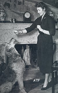 1954dog.jpg