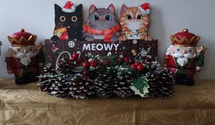 Christmas Meowy.jpg