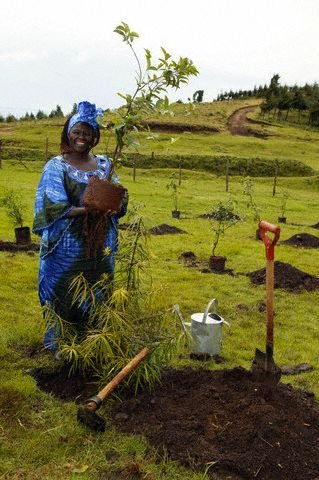 Planting a tree.jpeg