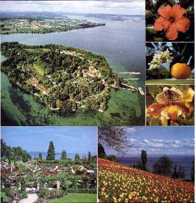 mainau.jpg