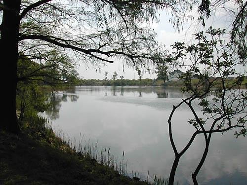 Mogosoaia Palace 02 Mogosoaia Lake.jpg