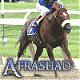 Afrashad's Avatar