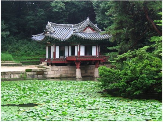 Click image for larger version

Name:	Changdeokgung Palace 3.jpg
Views:	971
Size:	160.0 KB
ID:	277869