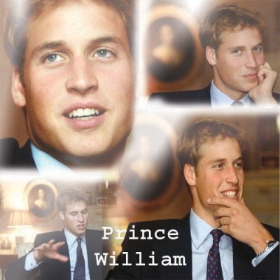 Click image for larger version

Name:	prince_William.jpg
Views:	423
Size:	47.0 KB
ID:	4820