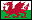 :walesflag2: