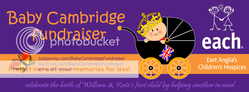 babycambridgefundraiser-infobanner.png
