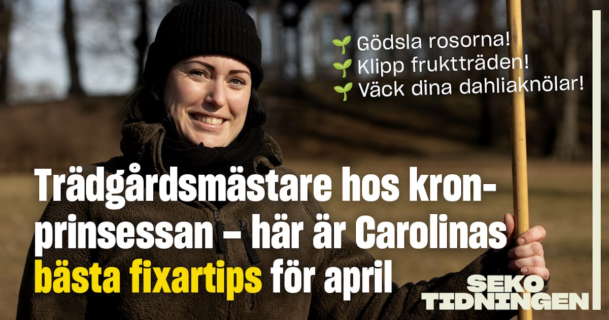 sekotidningen.se